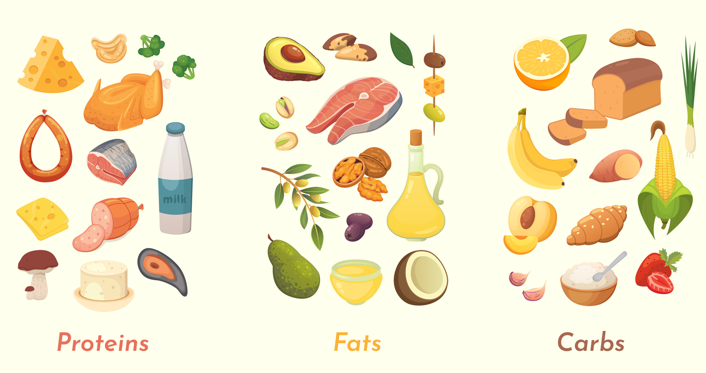 macronutrienti-e-micronutrienti-b