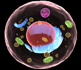 siamo-fatti-per-correre-2