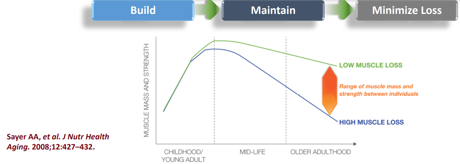 età-che-avanza-focus-sulle-proteine-1