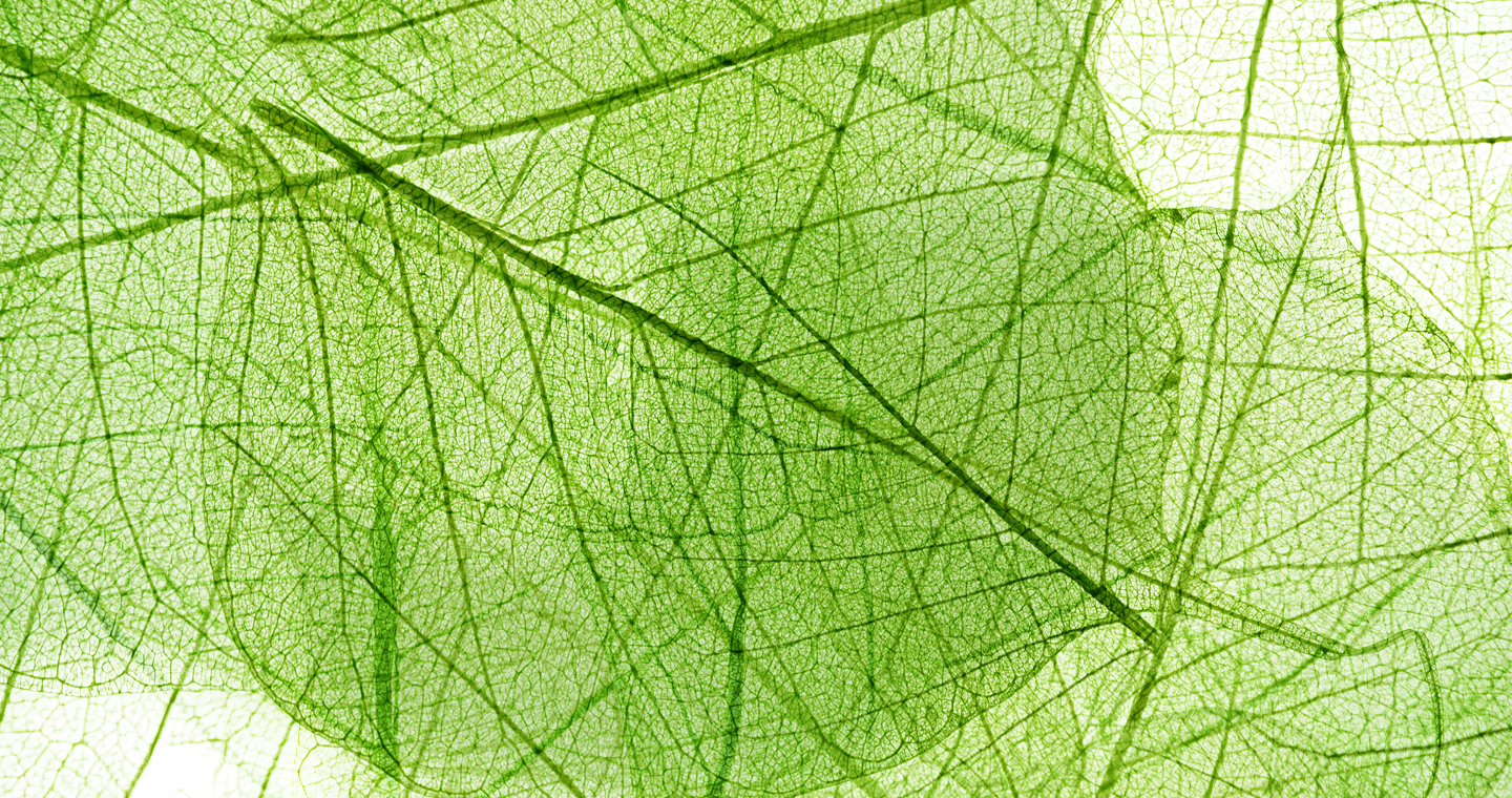 copertina-chi-siamo-santal-b