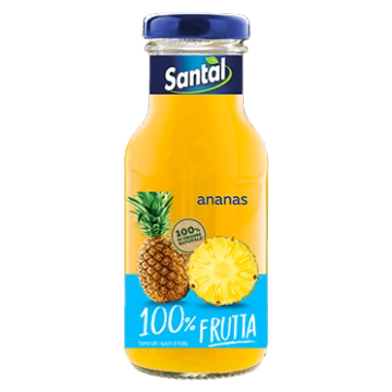 Santàl 100% Ananas