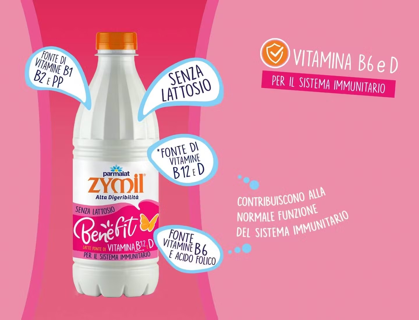 Benefit vitamina b6 e D